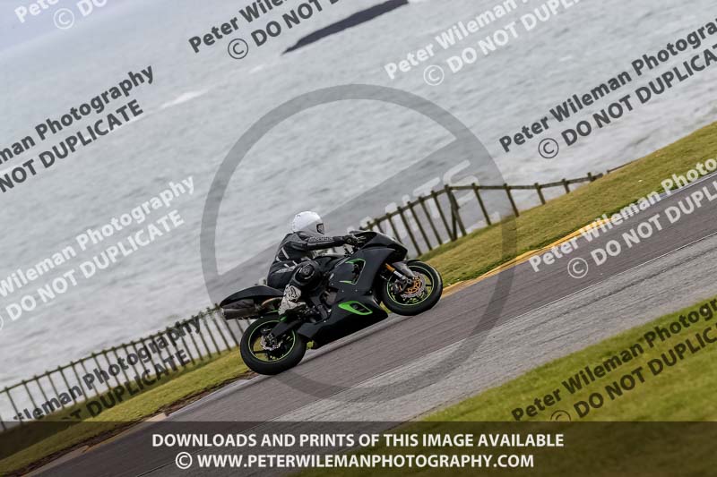 PJ Motorsport 2019;anglesey no limits trackday;anglesey photographs;anglesey trackday photographs;enduro digital images;event digital images;eventdigitalimages;no limits trackdays;peter wileman photography;racing digital images;trac mon;trackday digital images;trackday photos;ty croes